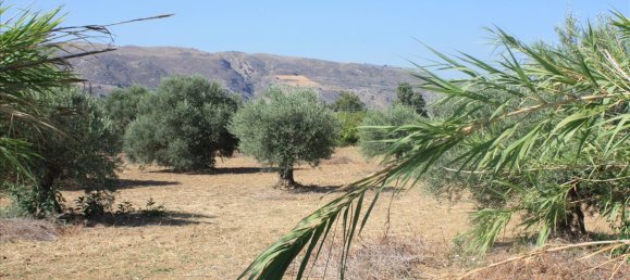 Hotel em Chania, Greece 10500 m² N.º 5595 2