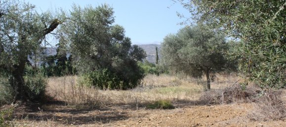 Hotel em Chania, Greece 10500 m² N.º 5595 3