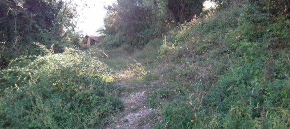 Terrain à Narni, Italy 4700m² No. 256208 5