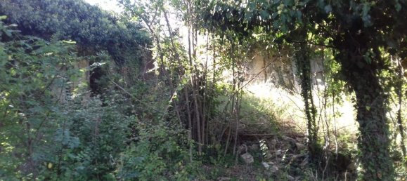 Terrain à Narni, Italy 4700m² No. 256208 4