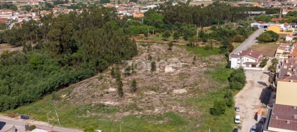 Terrain à Ovar, Portugal 18880m² No. 20038 2