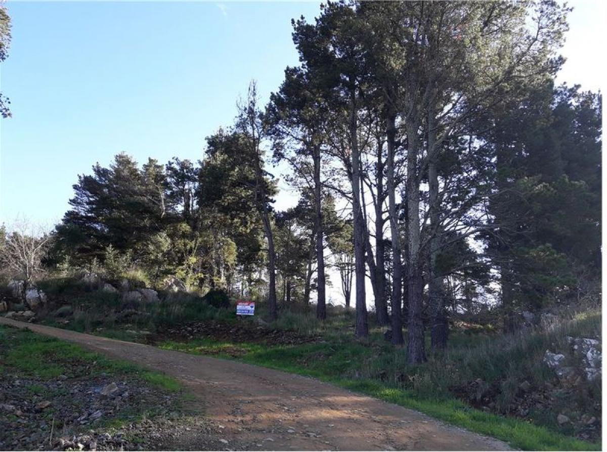  Land in Tandil, Argentina No. 46846