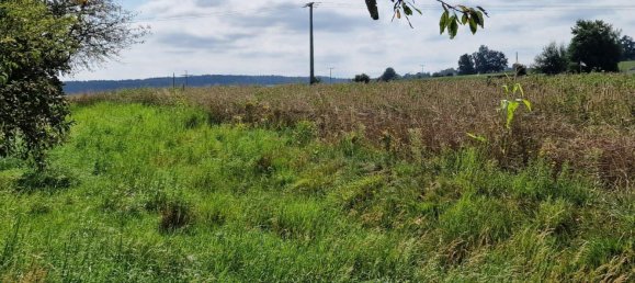 Terrain à Amberg-Sulzbach, Germany No. 138410 3