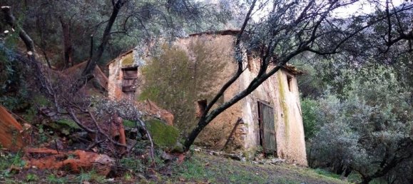 3 rooms Land in Camaiore, Italy No. 234496 2