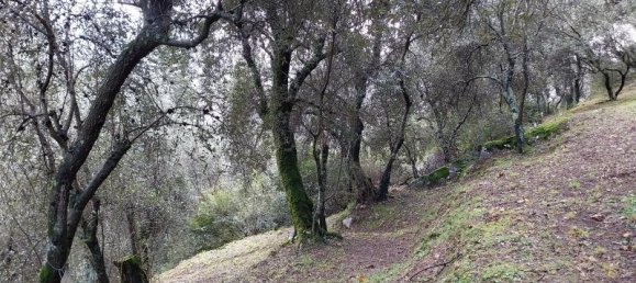 3 rooms Land in Camaiore, Italy No. 234496 7