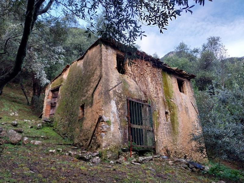 3 rooms Land in Camaiore, Italy No. 234496