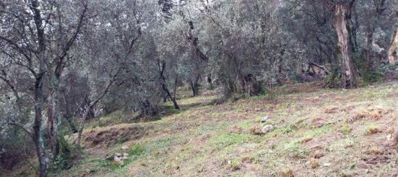 3 rooms Land in Camaiore, Italy No. 234496 6