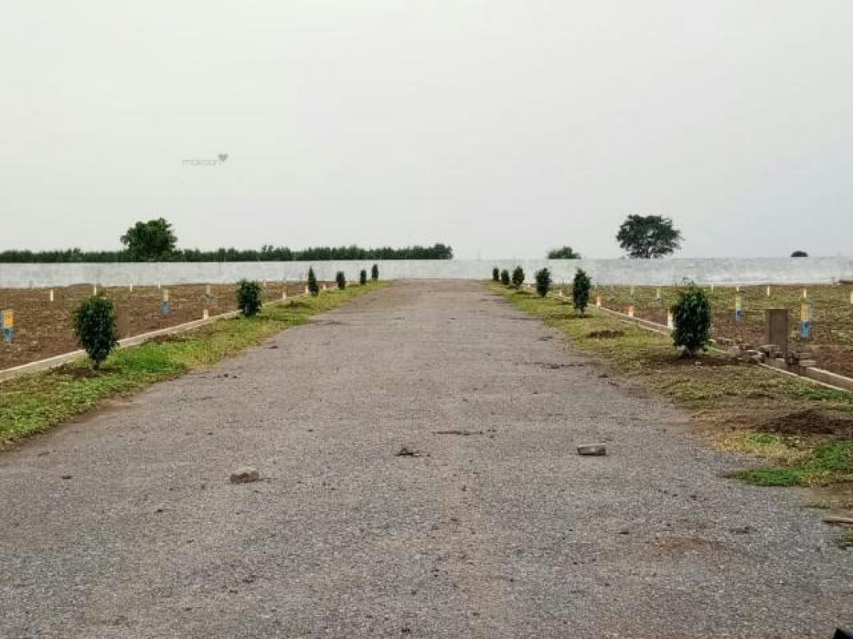  Land in Guntur, India No. 38730
