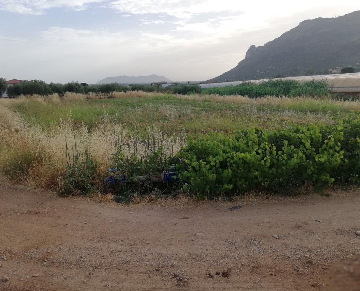  Land in Terracina, Italy No. 402836