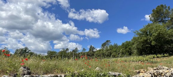 244m² Commercial property in Cotignac, France No. 826 3