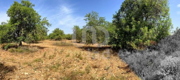 11201m² Land in Tarragona, Spain No. 161367 6