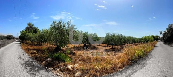 11201m² Land in Tarragona, Spain No. 161367 8