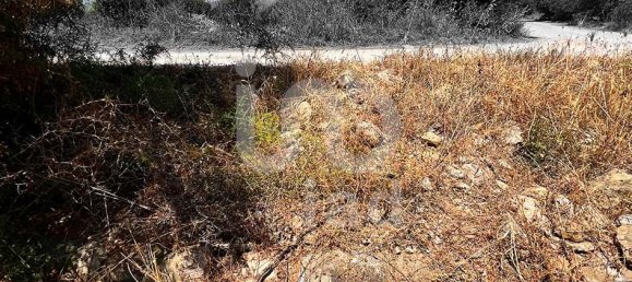 11201m² Land in Tarragona, Spain No. 161367 4