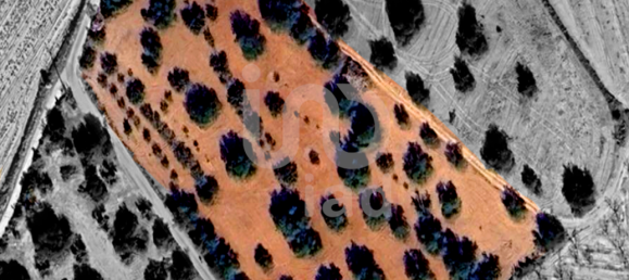 11201m² Land in Tarragona, Spain No. 161367 9