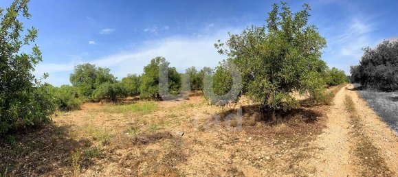 11201m² Land in Tarragona, Spain No. 161367 7