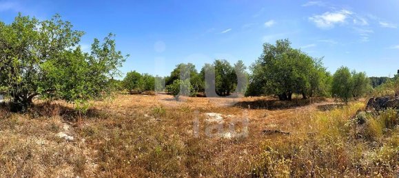 11201m² Land in Tarragona, Spain No. 161367 5