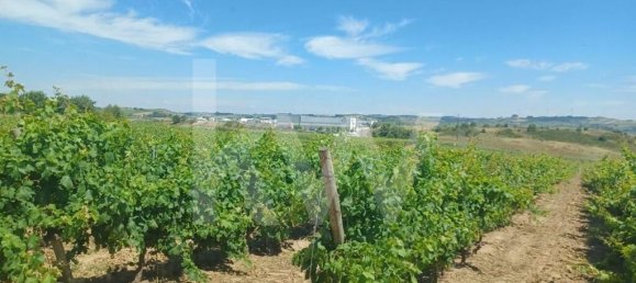 4 bedrooms Castles in Torres Vedras, Portugal No. 90750 10