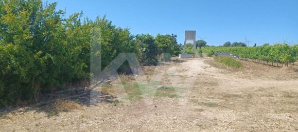 4 bedrooms Castles in Torres Vedras, Portugal No. 90750 3