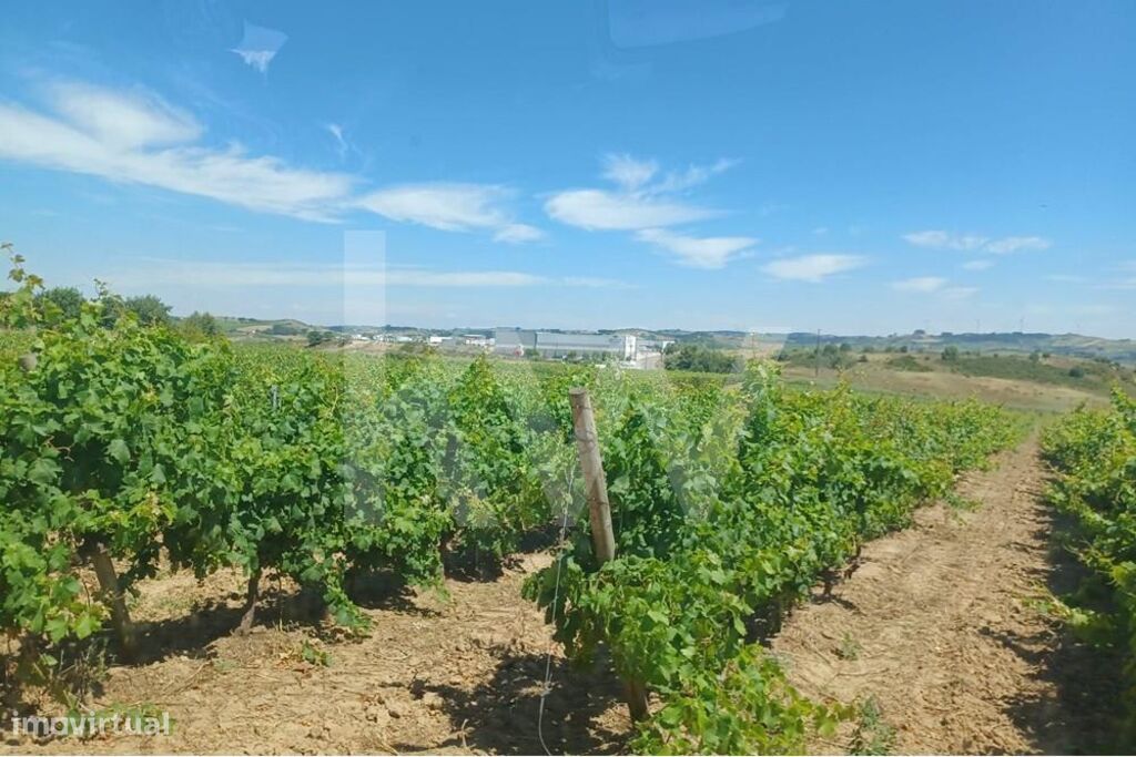 4 bedrooms Castles in Torres Vedras, Portugal No. 90750