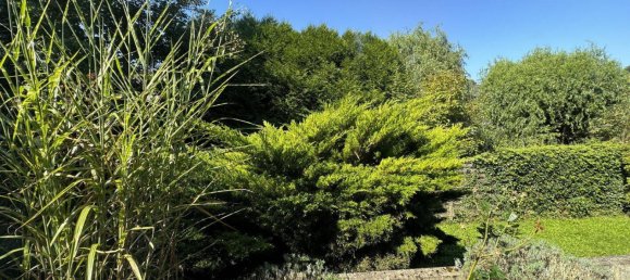 2 غرف نوم شقة في Rhein-Sieg, Germany رقم 217608 71