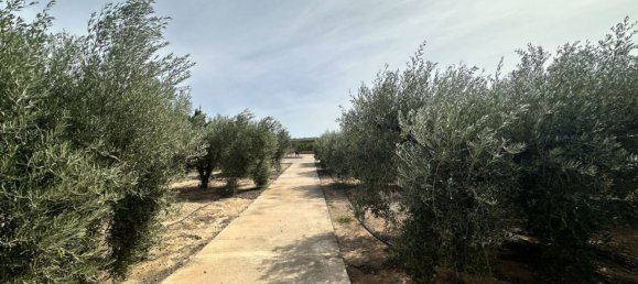  Land in Estivella, Spain No. 156174 26