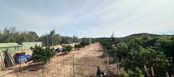  Land in Estivella, Spain No. 156174 19