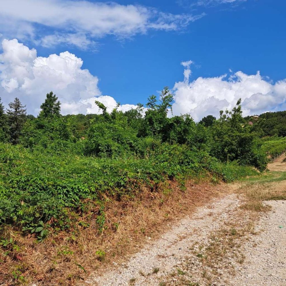 Terreno en Langenzersdorf, Austria No. 39316