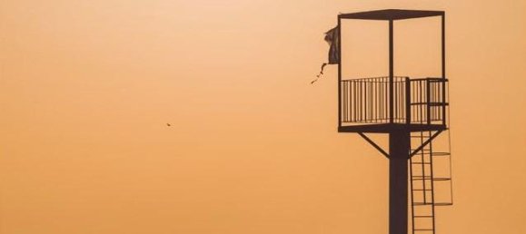 2 Schlafzimmer Wohnung in Almerimar, Spain, Nr. 12852 11