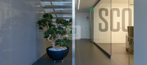 9 bedrooms House in Porto, Portugal No. 124490 5