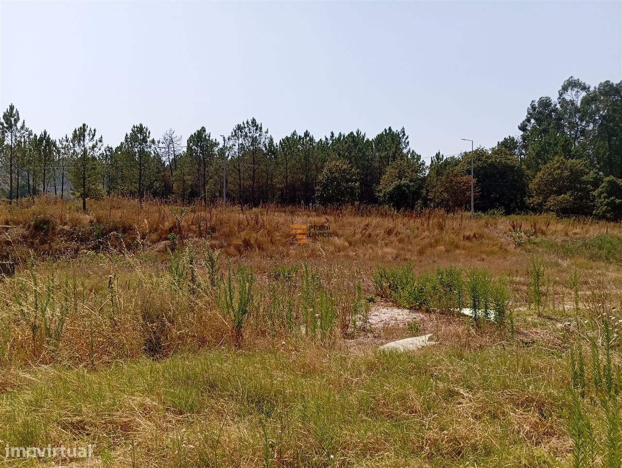 Земельный участок 5185м² в Валонгу, Португалия № 246338