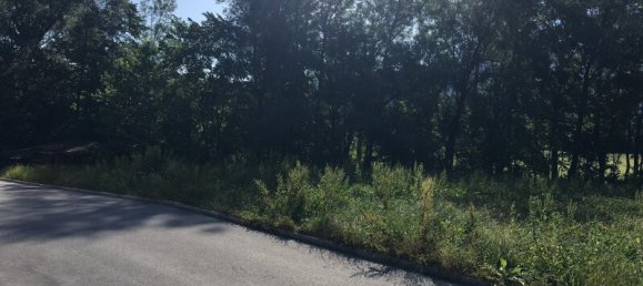  Land in Munster, Austria No. 209169 3