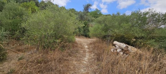 Terrain à Felanitx, Spain 65m² No. 173340 4