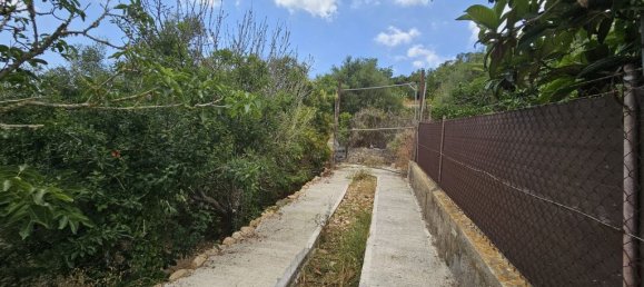 Terrain à Felanitx, Spain 65m² No. 173340 5