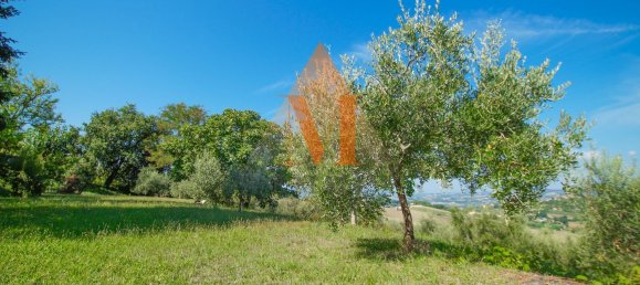 3 bedrooms Apartment in Terre Roveresche, Italy No. 339292 47