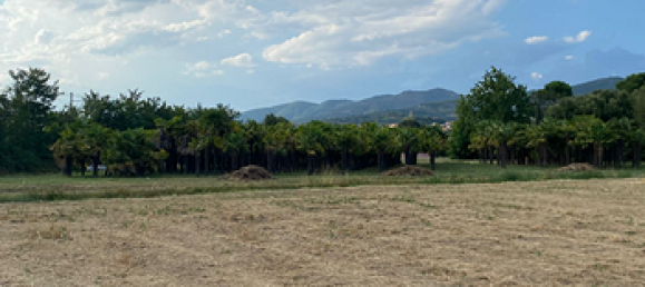 2000m² Land in Castiglion Fiorentino, Italy No. 276731 6