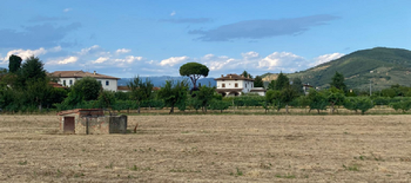 2000m² Land in Castiglion Fiorentino, Italy No. 276731 4