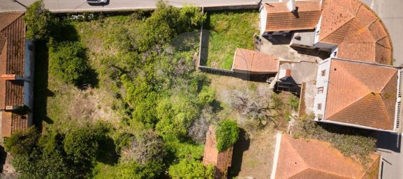 5 غرف نوم منزل في Sosa, Portugal رقم 19985 24