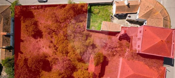 5 غرف نوم منزل في Sosa, Portugal رقم 19985 23