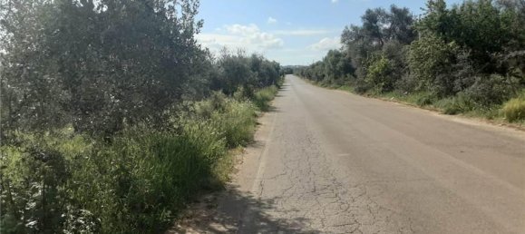 1 room Land in San Nicandro Garganico, Italy No. 149770 3