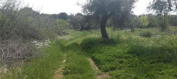 1 room Land in San Nicandro Garganico, Italy No. 149770 5