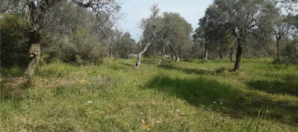 1 room Land in San Nicandro Garganico, Italy No. 149770 2