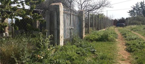 1 room Land in San Nicandro Garganico, Italy No. 149770 10