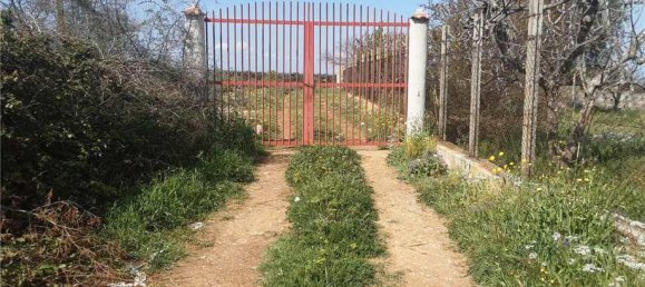 1 room Land in San Nicandro Garganico, Italy No. 149770 8