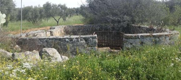 1 room Land in San Nicandro Garganico, Italy No. 149770 6