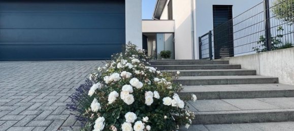 3 غرف نوم منزل في Sudwestpfalz, Germany رقم 343288 6