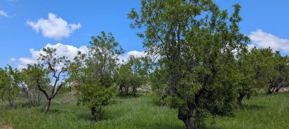 1 bedroom House in Monroyo, Spain No. 49649 6