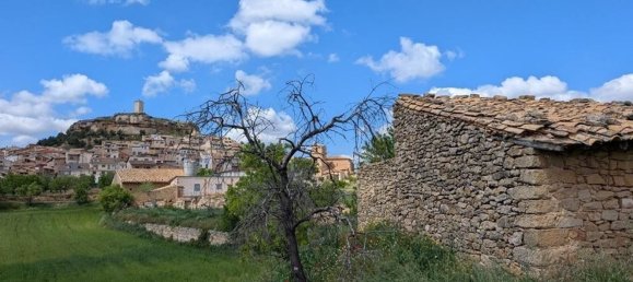 1 bedroom House in Monroyo, Spain No. 49649 10