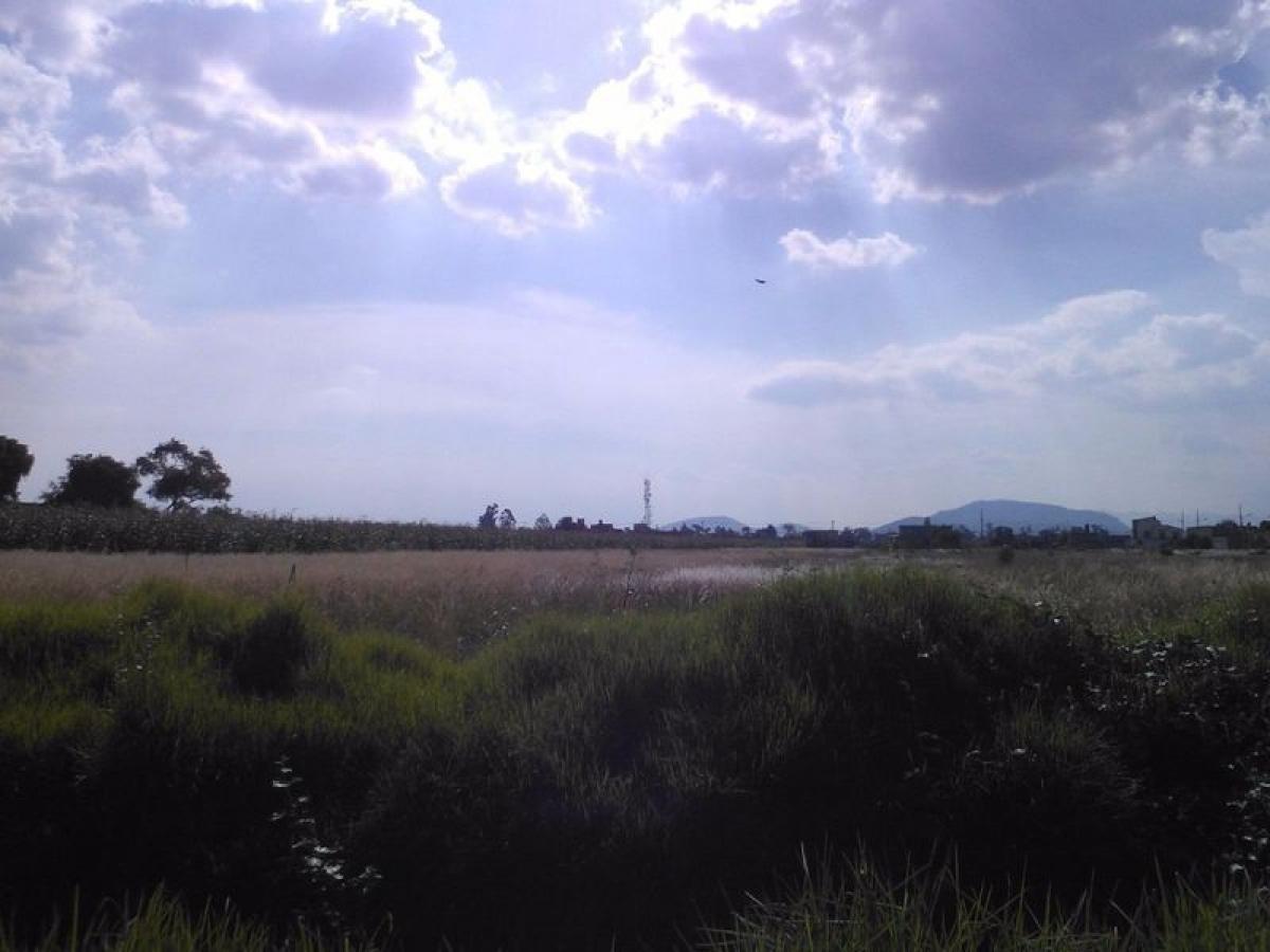 Grundstück in San Buenaventura, Mexico, Nr. 205744