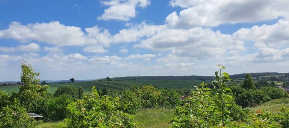 12 غرف نوم منزل في Main-Spessart, Germany رقم 132604 6