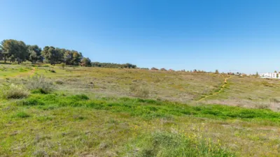 5 bedrooms House in La Zubia, Spain No. 176420